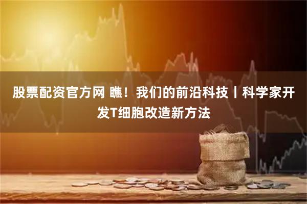 股票配资官方网 瞧！我们的前沿科技丨科学家开发T细胞改造新方法